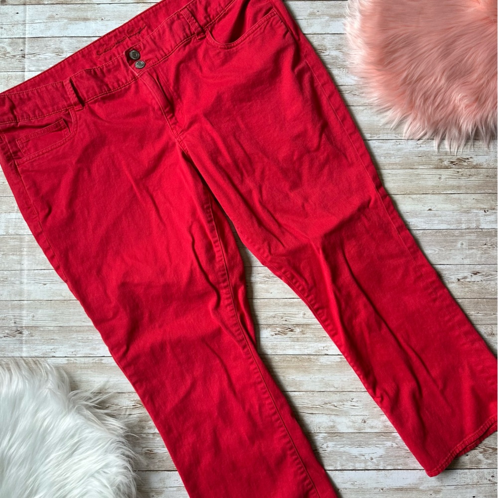American Eagle Stretch Red Jeggings size 18